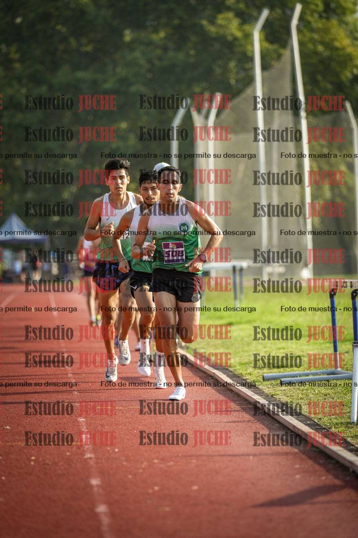 Fotos de los 3000 m llanos de varones