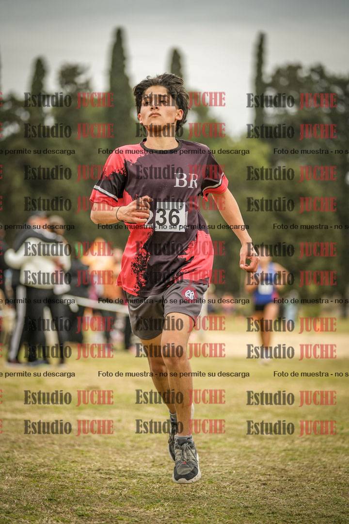 Fotos de la llegada