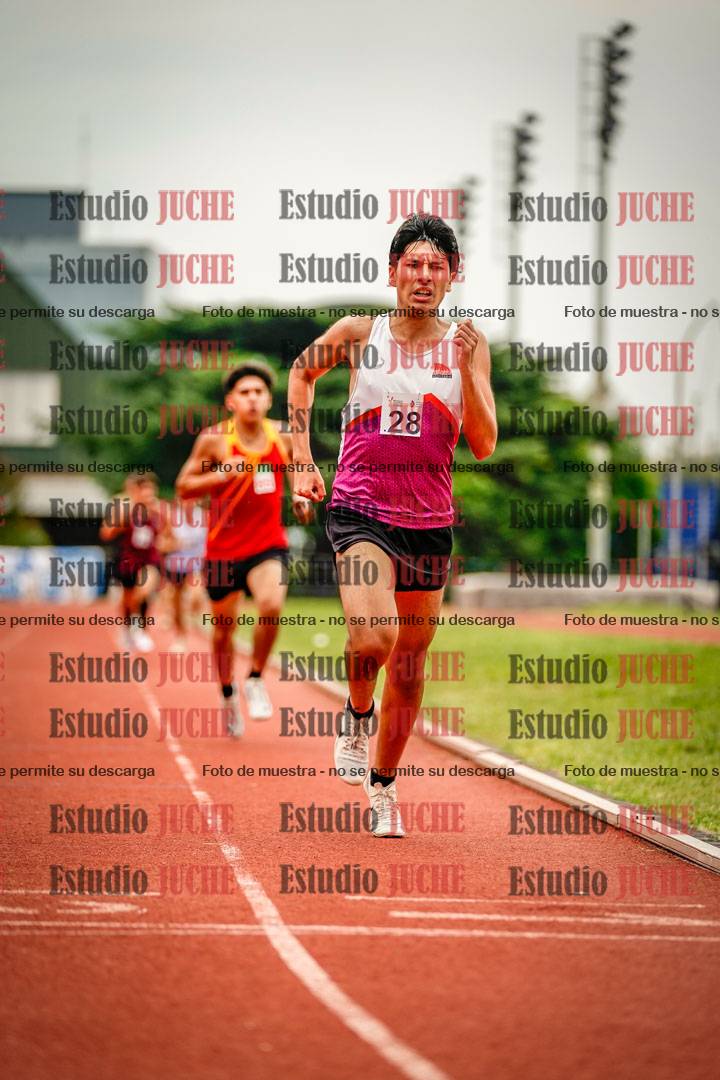 Fotos de los 800 m de varones