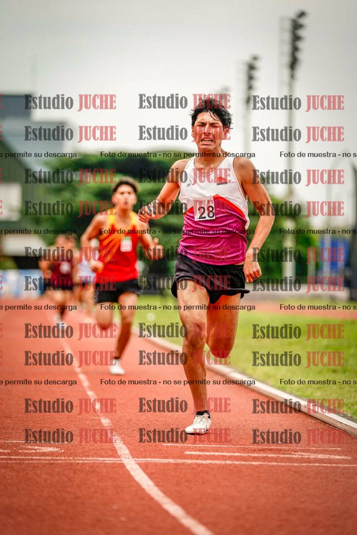 Fotos de los 800 m de varones