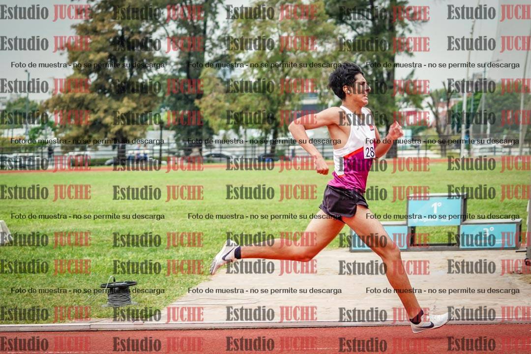Fotos de los 800 m de varones