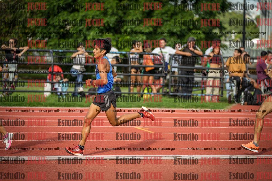 Fotos de los 5000 m llanos