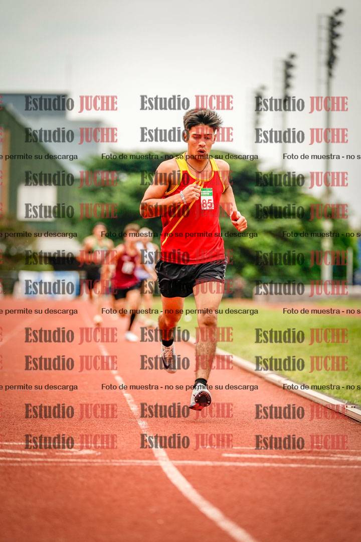 Fotos de los 800 m de varones