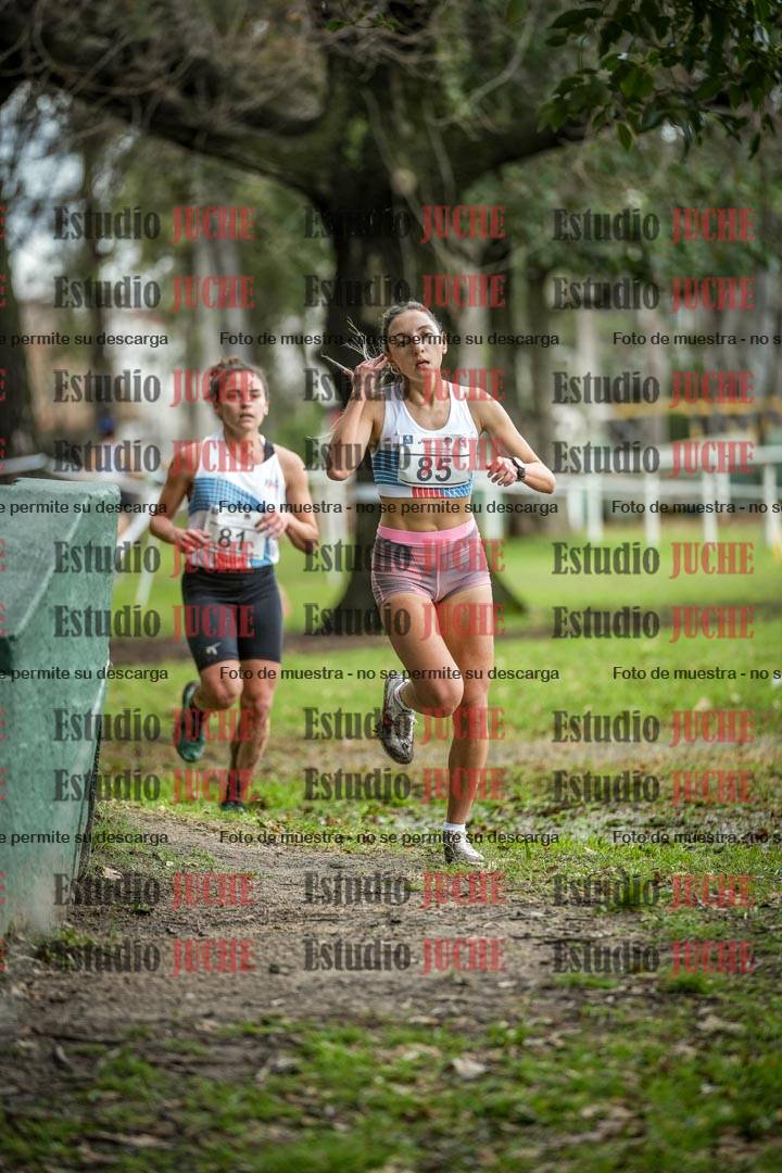 Fotos en el circuito