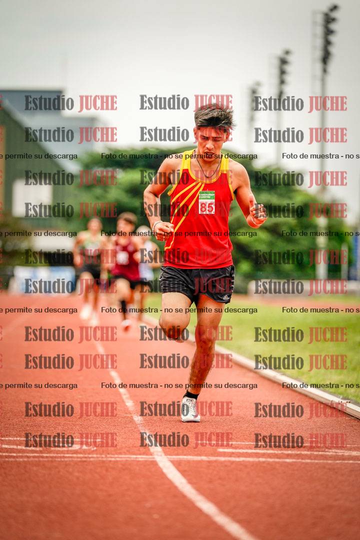 Fotos de los 800 m de varones