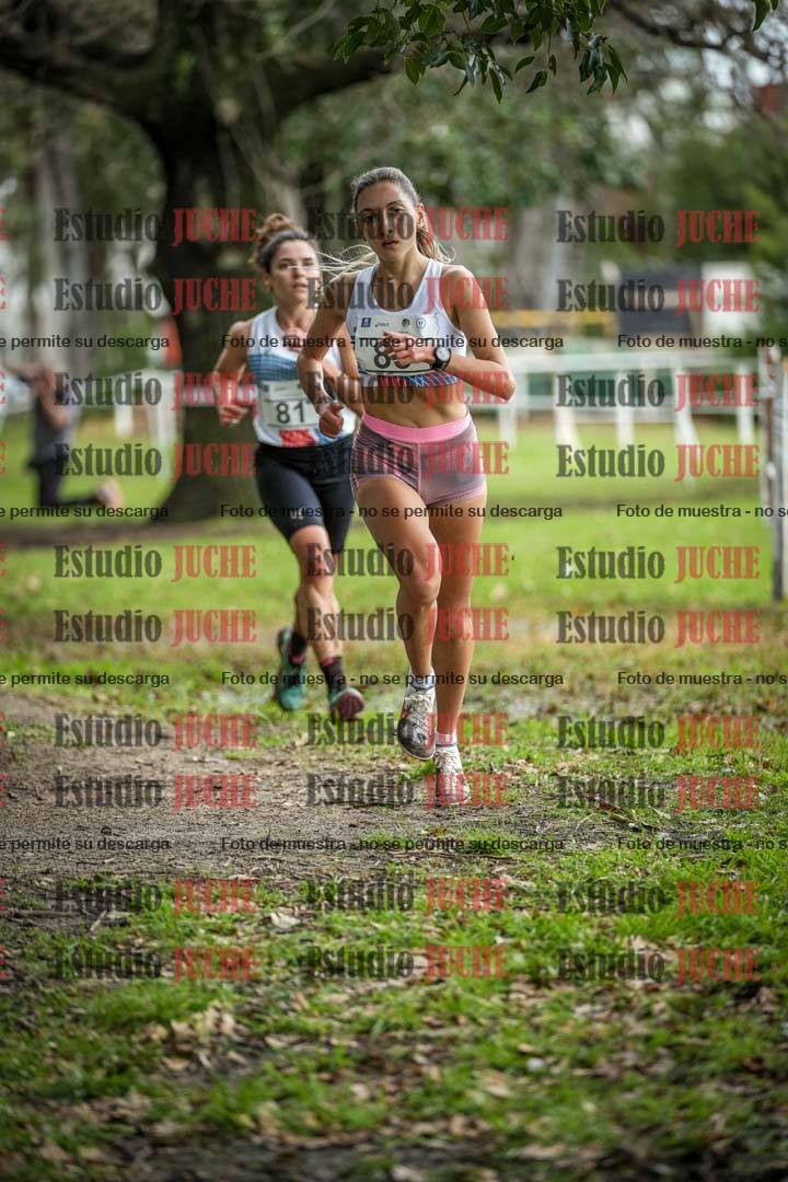 Fotos en el circuito