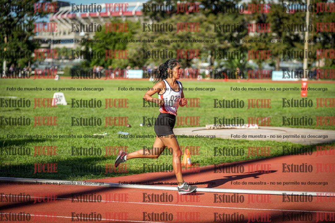Fotos de los 1500 m llanos de mujeres