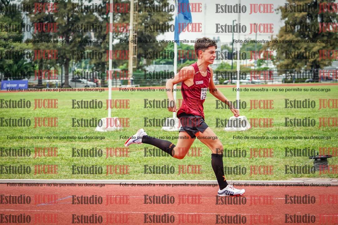 Fotos de los 800 m de varones