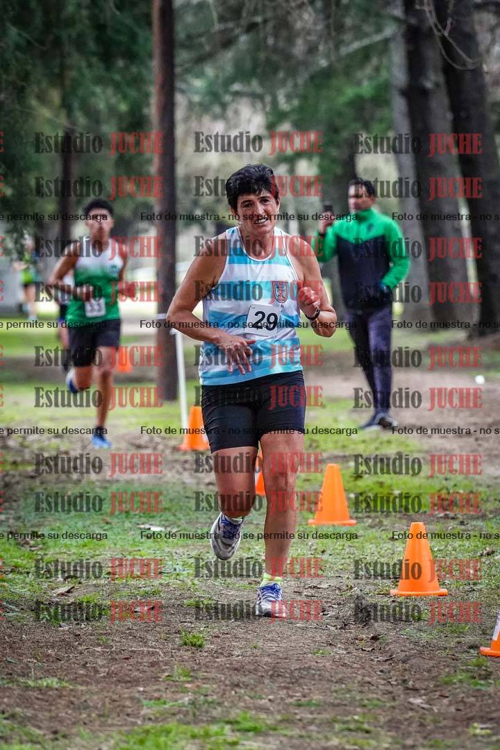 Fotos en el circuito
