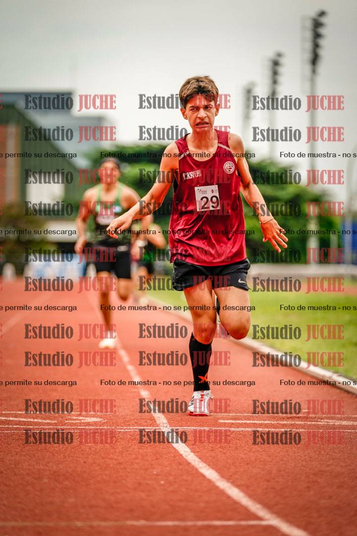 Fotos de los 800 m de varones