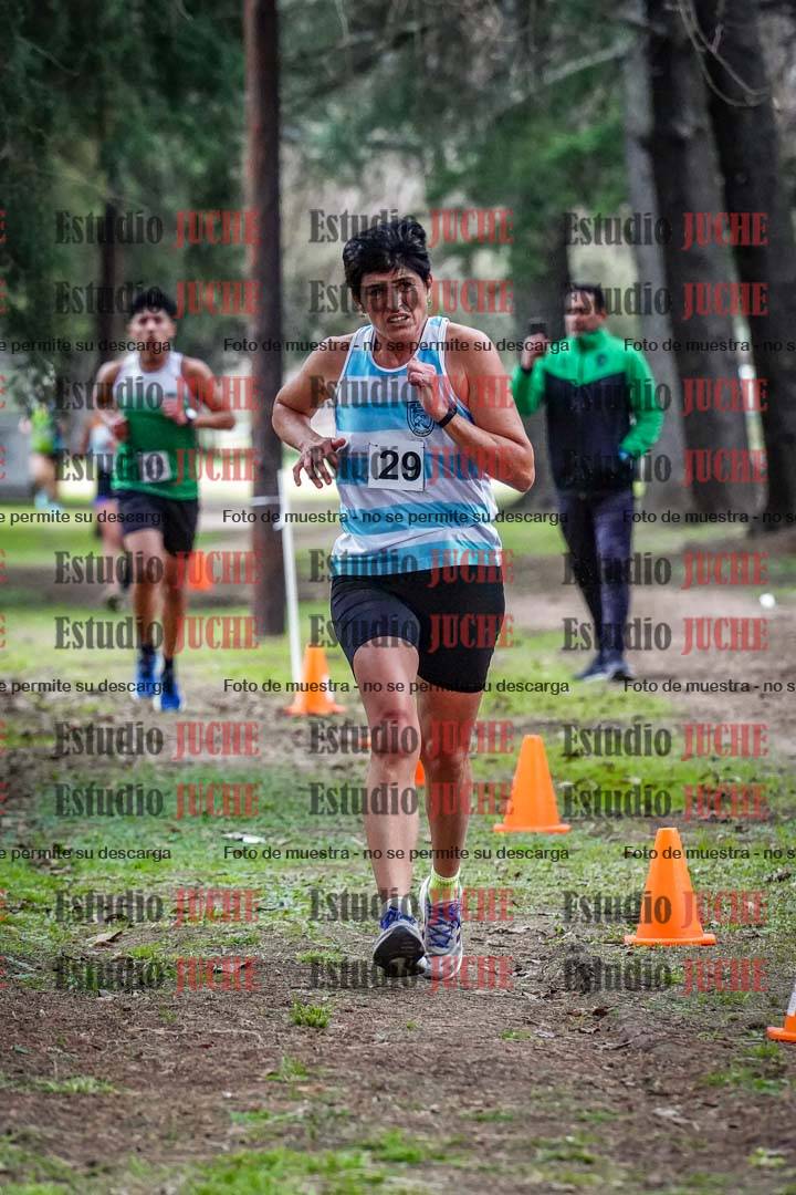 Fotos en el circuito