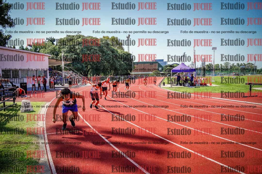 Fotos de los 800 m llanos de varones