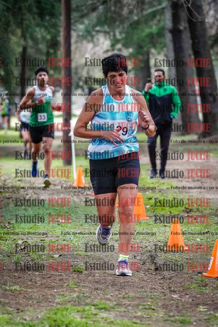 Fotos en el circuito