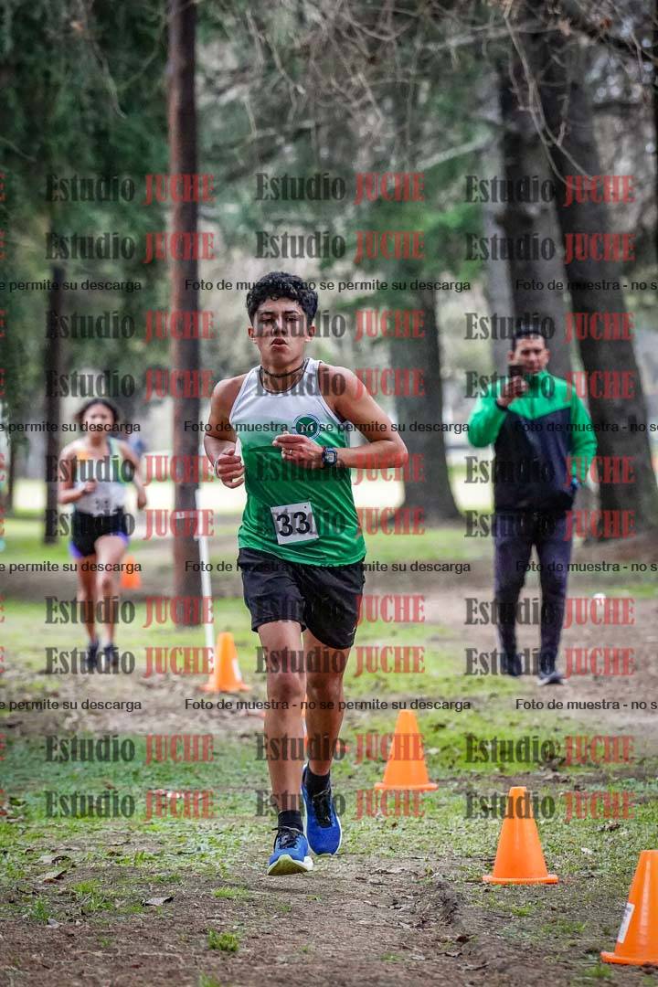 Fotos en el circuito