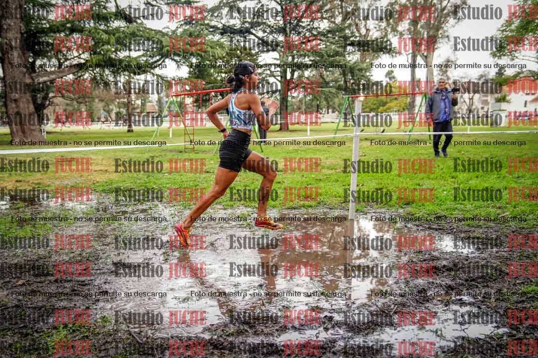Fotos en el circuito
