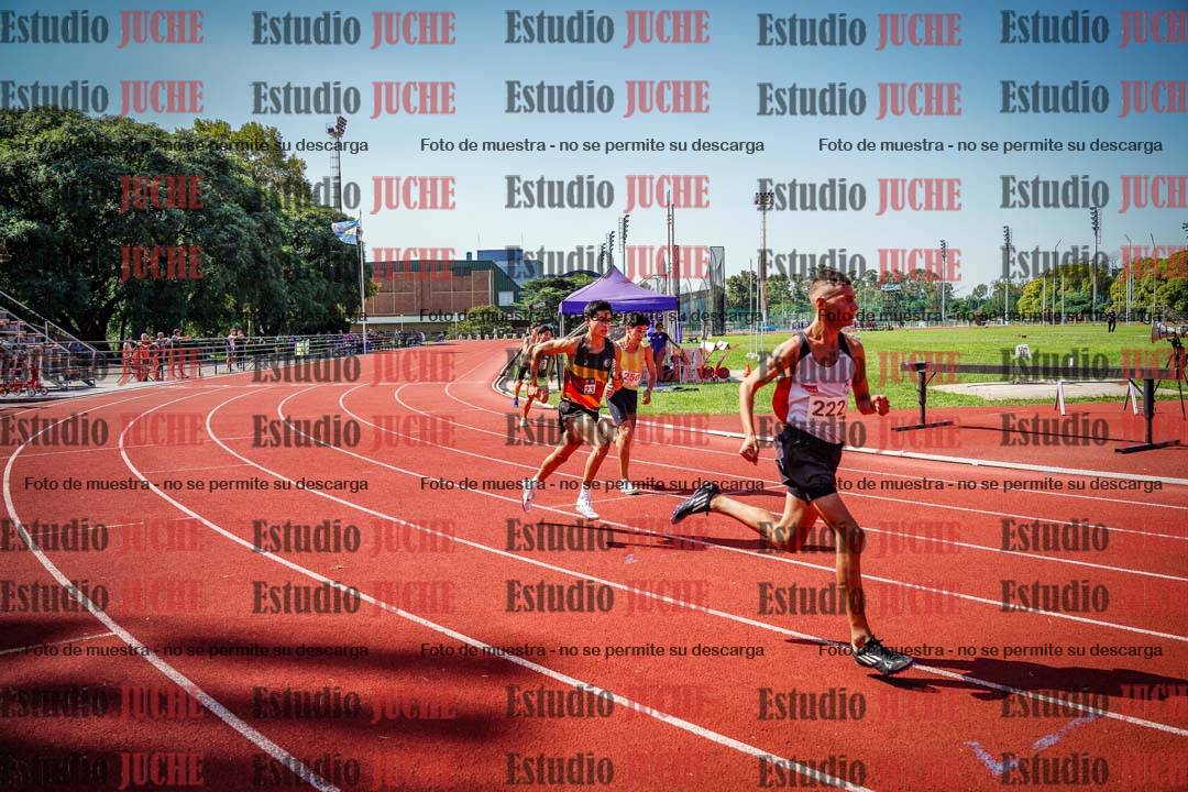 Fotos de los 800 m llanos de varones