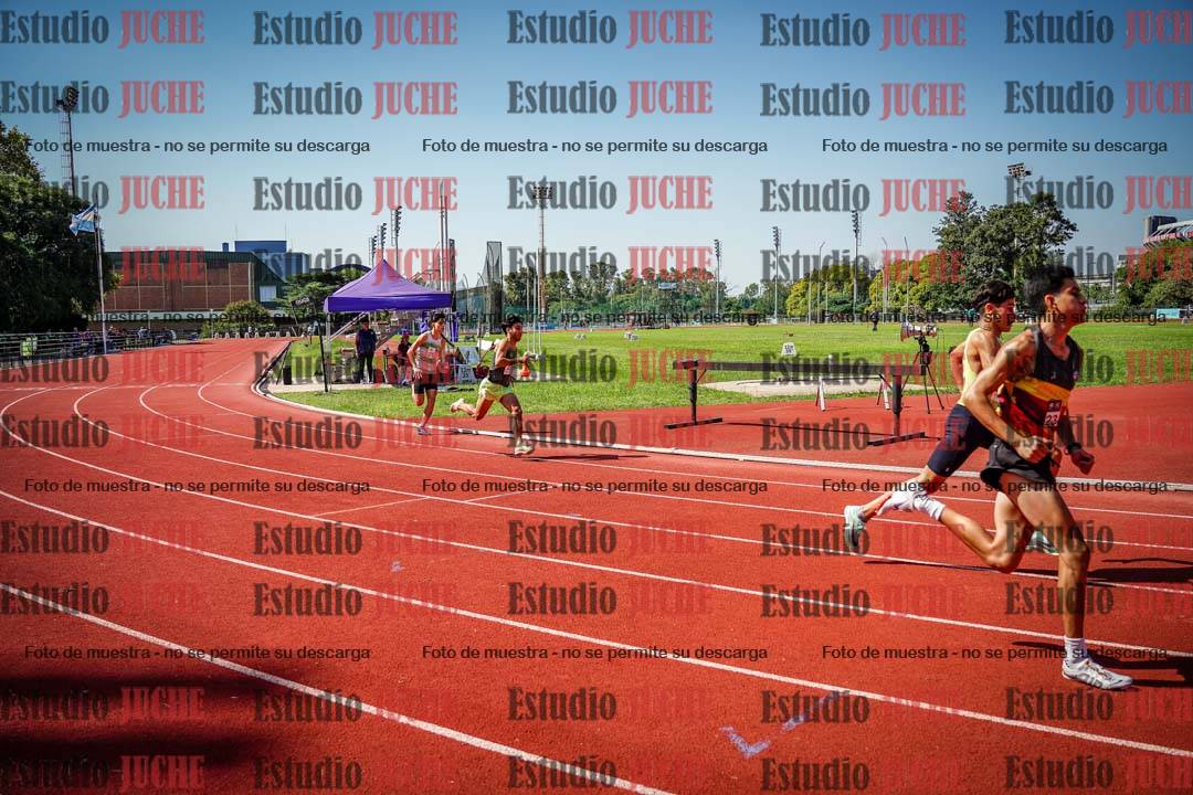 Fotos de los 800 m llanos de varones