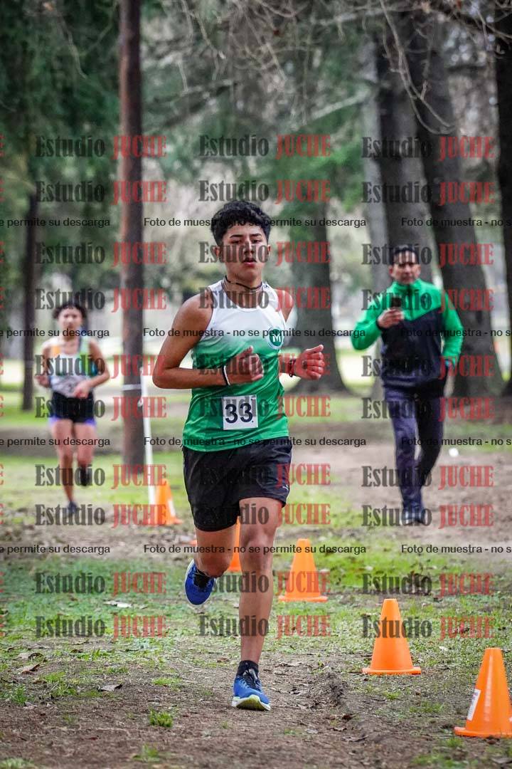 Fotos en el circuito