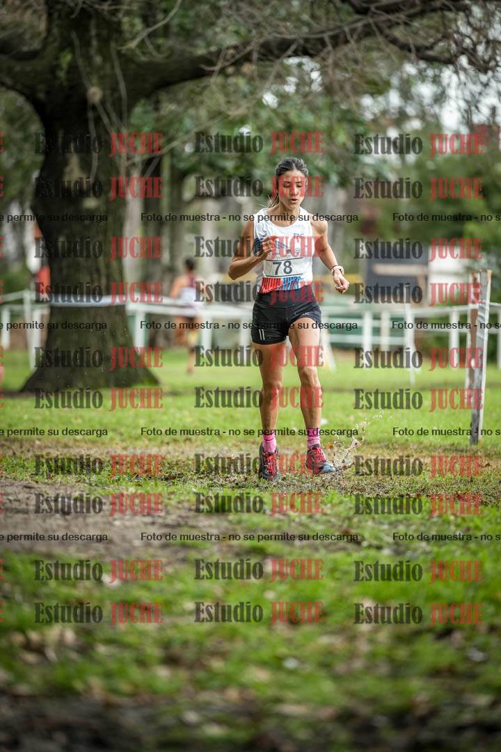 Fotos en el circuito