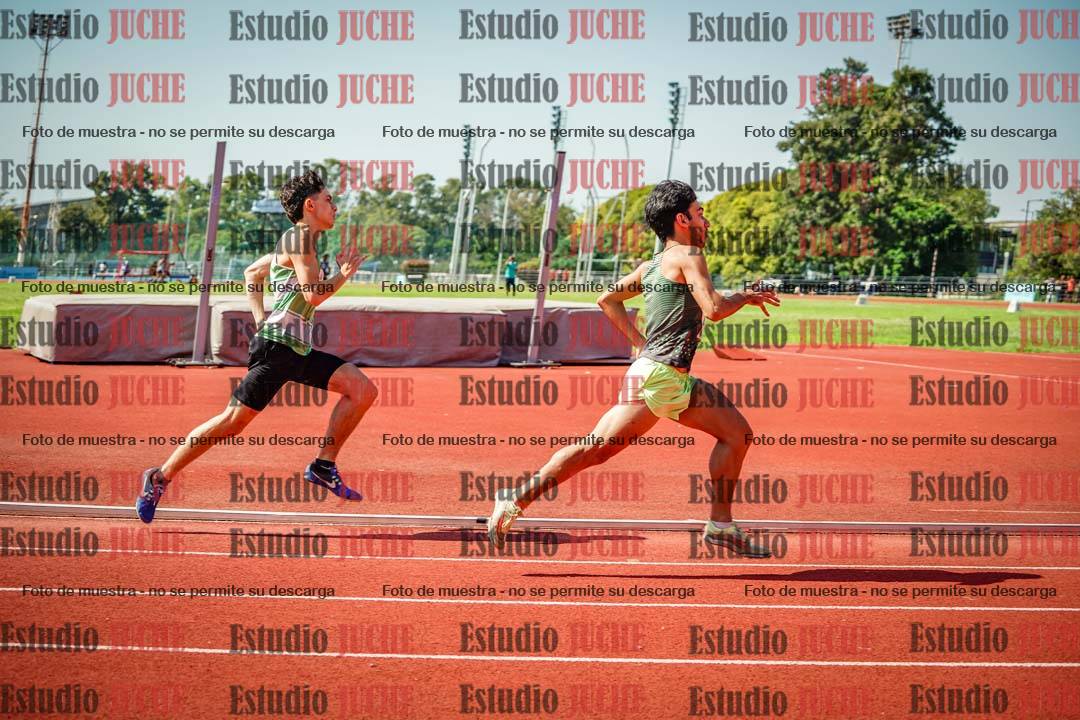 Fotos de los 800 m llanos de varones