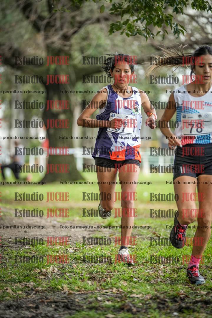 Fotos en el circuito