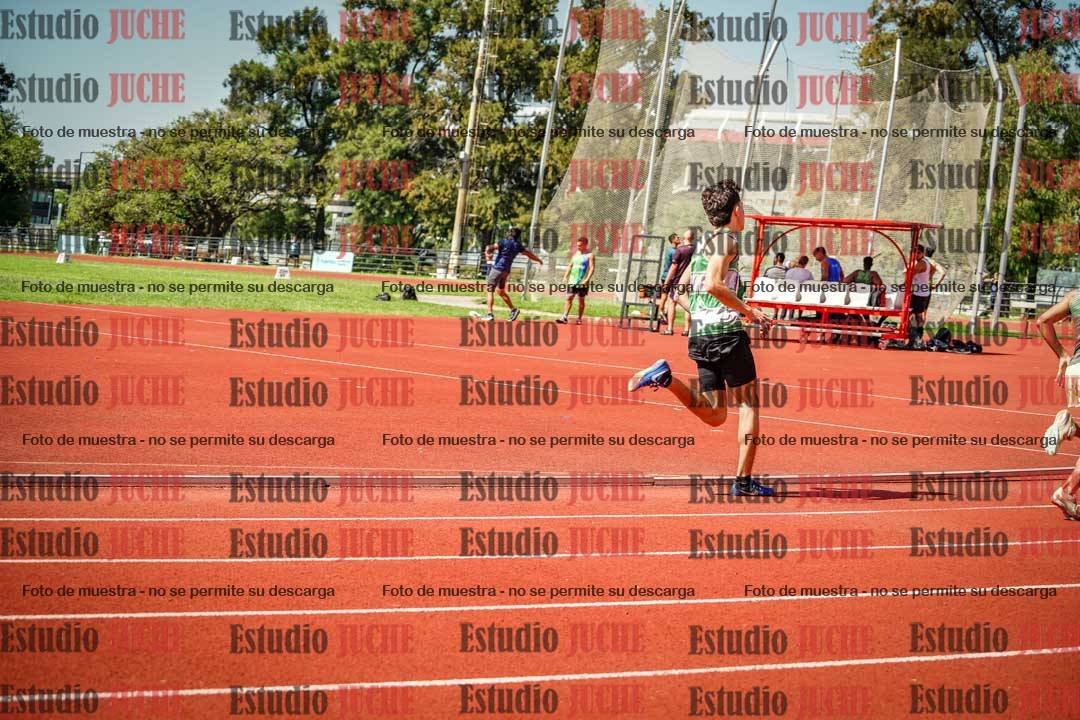 Fotos de los 800 m llanos de varones