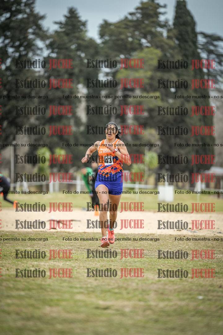 Fotos de la llegada