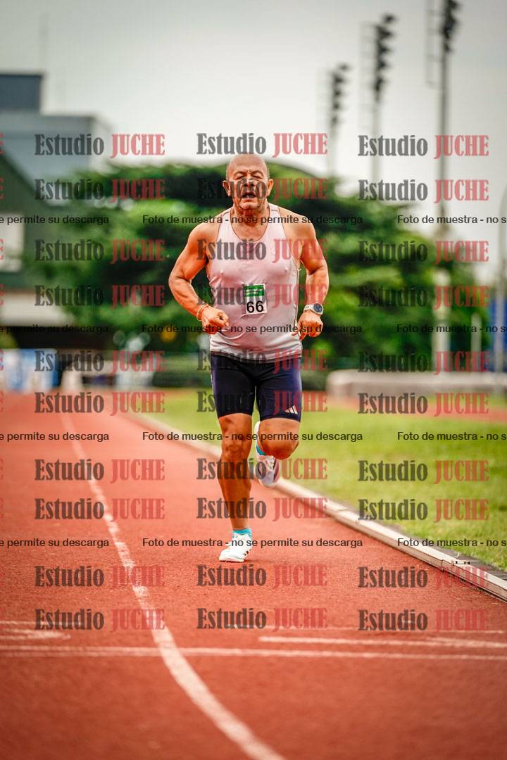 Fotos de los 800 m de varones