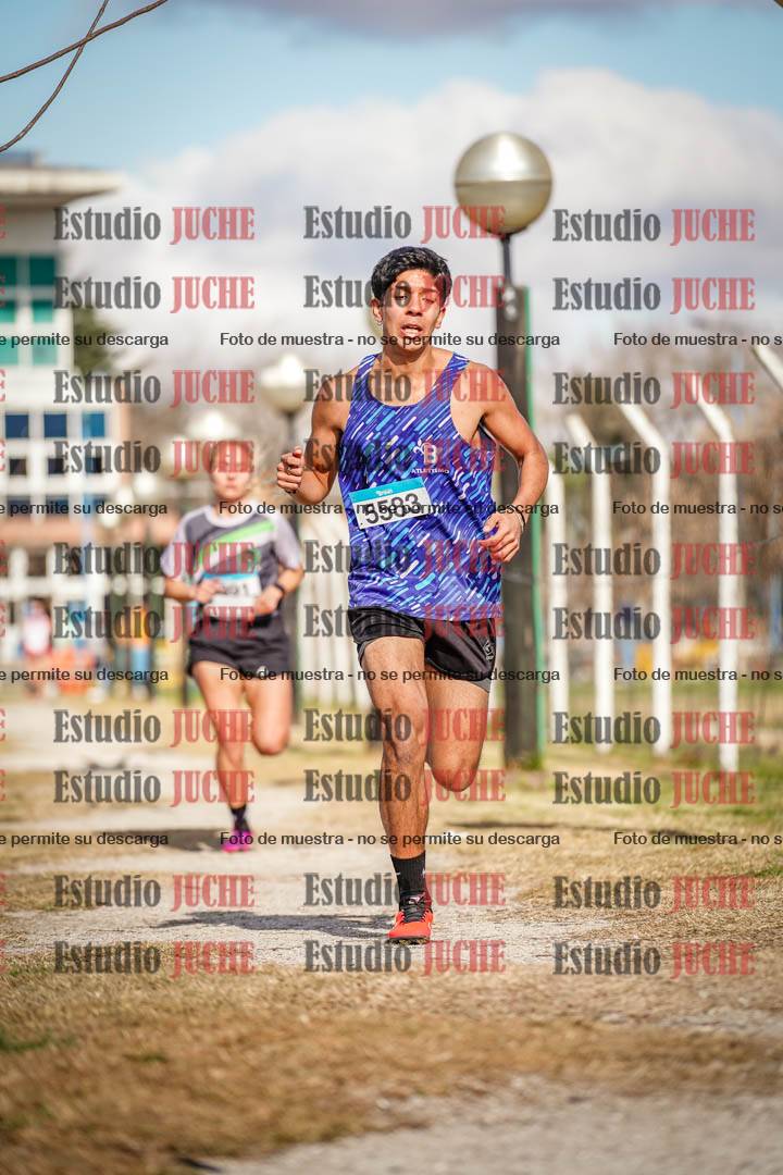 Fotos en el circuito