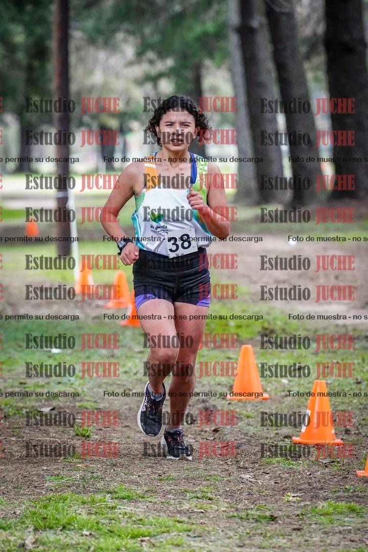 Fotos en el circuito
