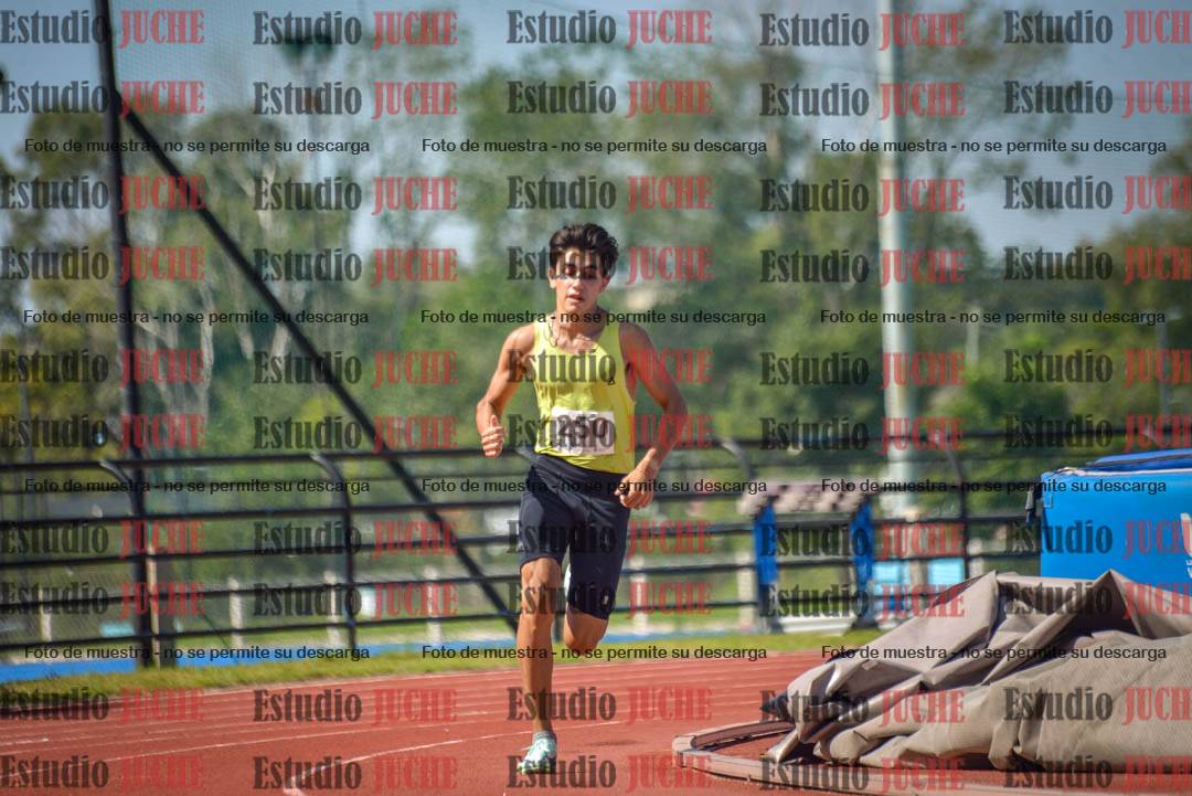 Fotos de los 800 m llanos de varones