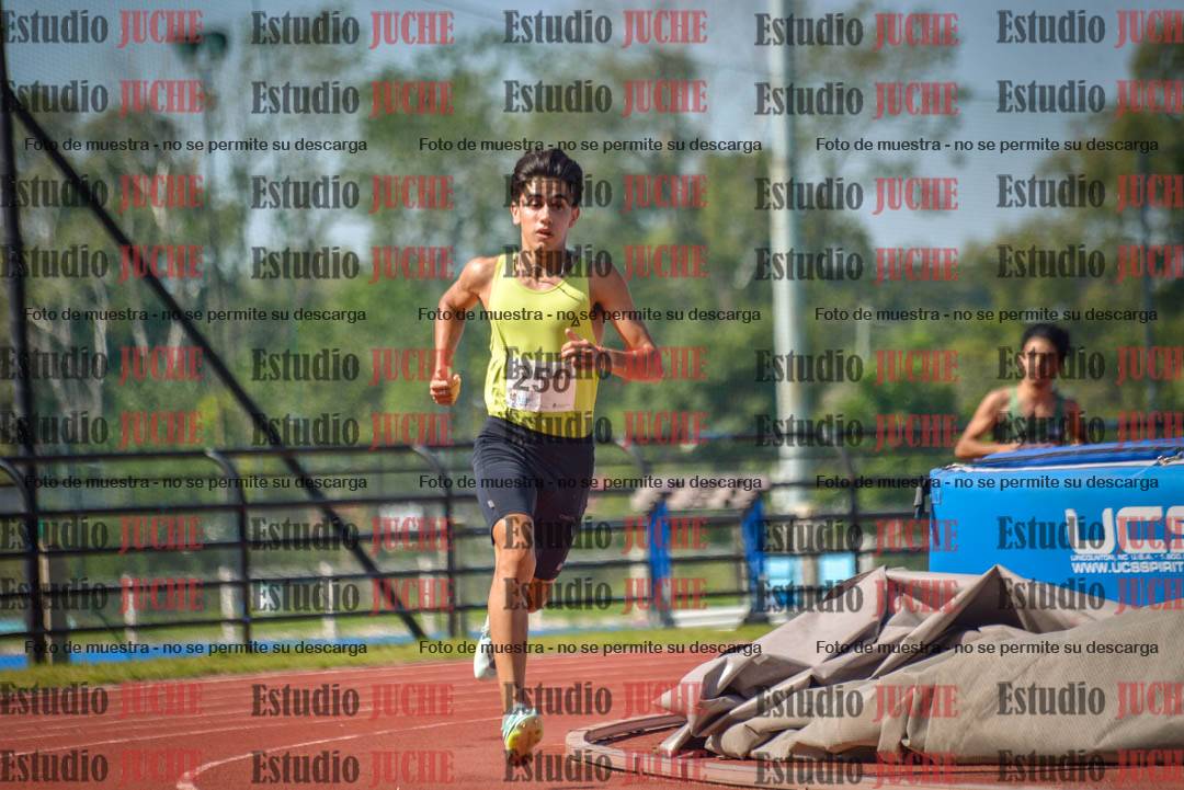 Fotos de los 800 m llanos de varones