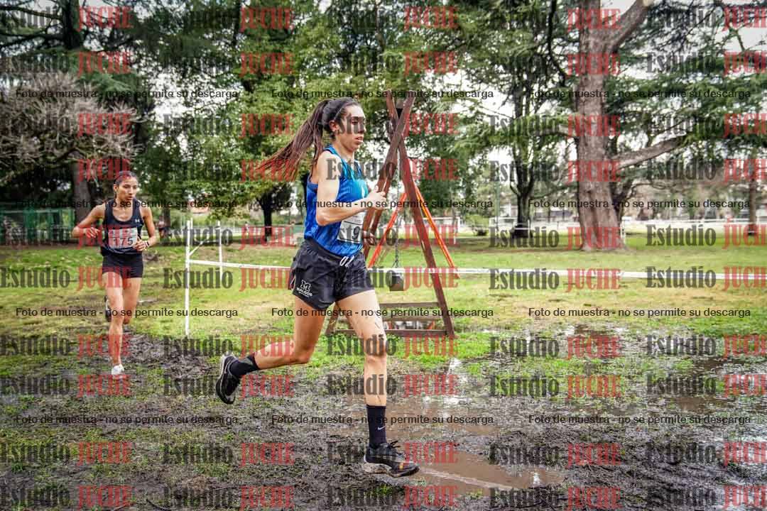Fotos en el circuito