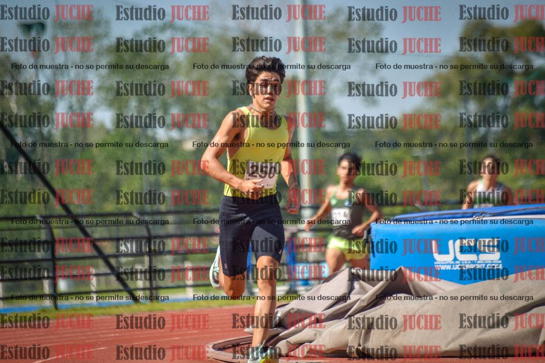 Fotos de los 800 m llanos de varones