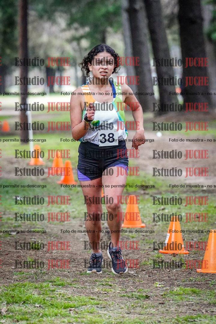 Fotos en el circuito