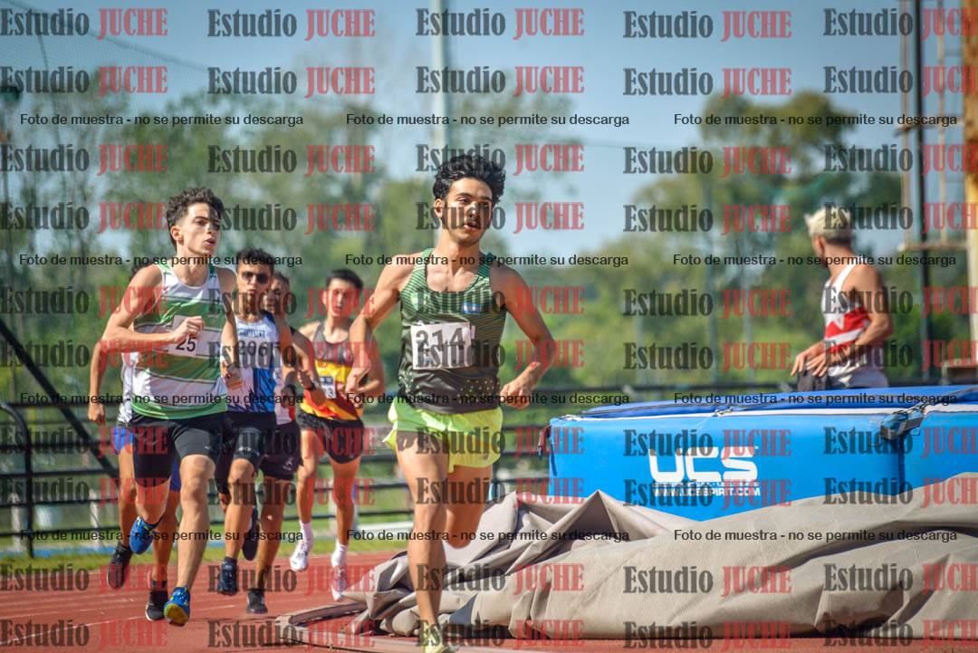 Fotos de los 800 m llanos de varones