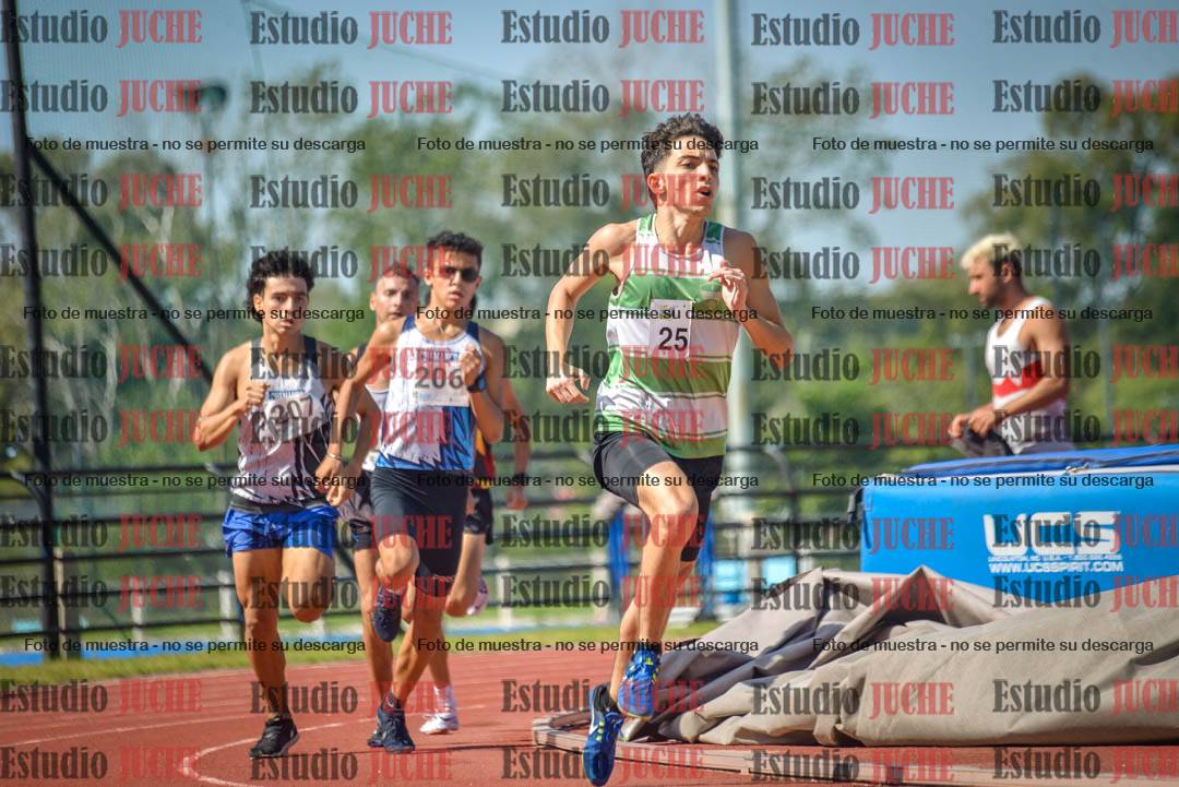 Fotos de los 800 m llanos de varones