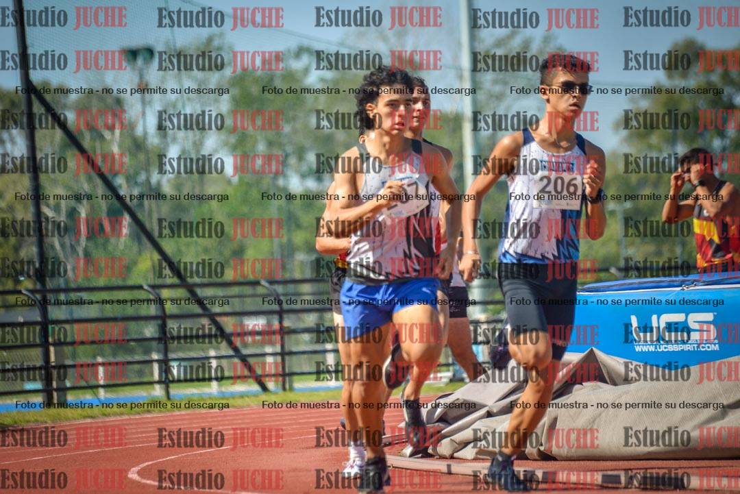 Fotos de los 800 m llanos de varones