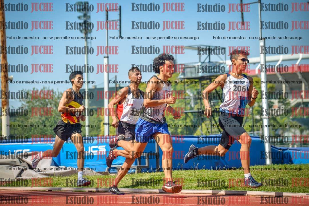 Fotos de los 800 m llanos de varones