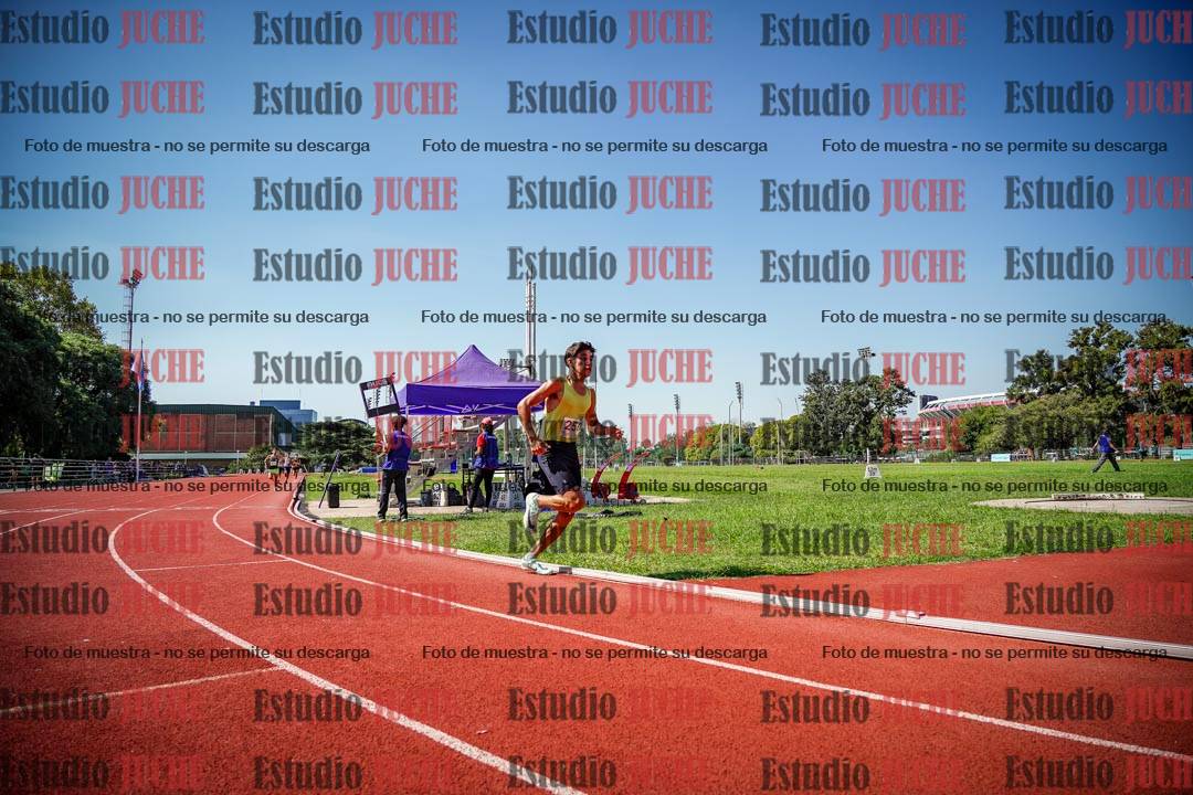 Fotos de los 800 m llanos de varones