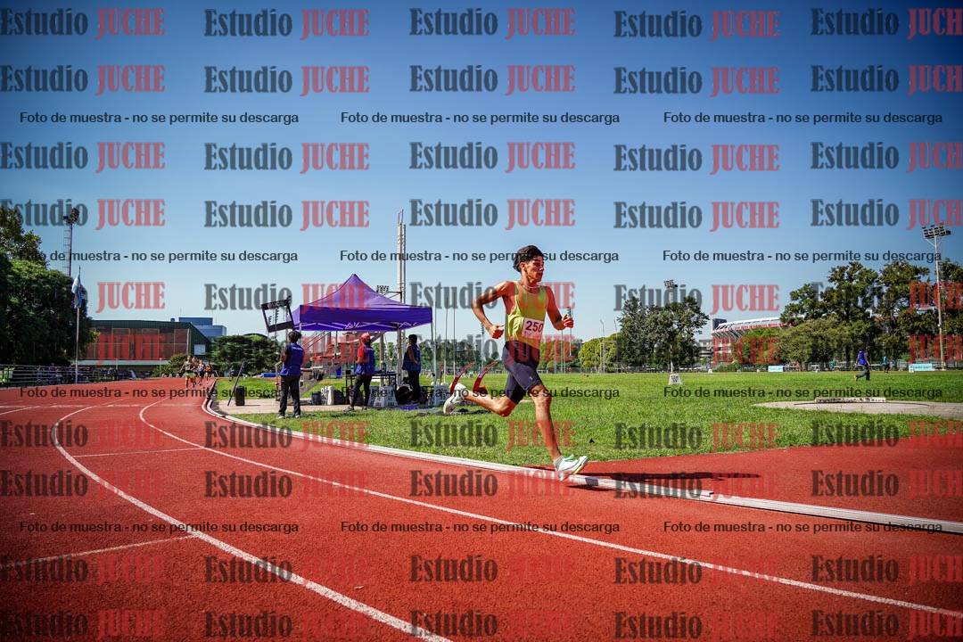 Fotos de los 800 m llanos de varones