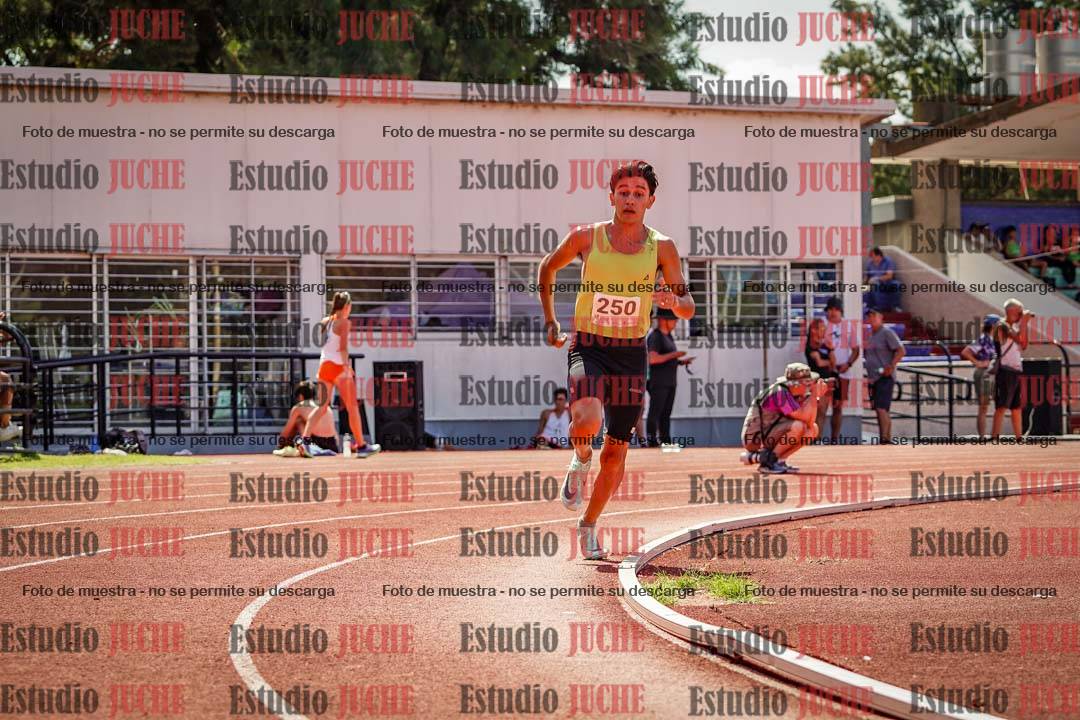 Fotos de los 800 m llanos de varones