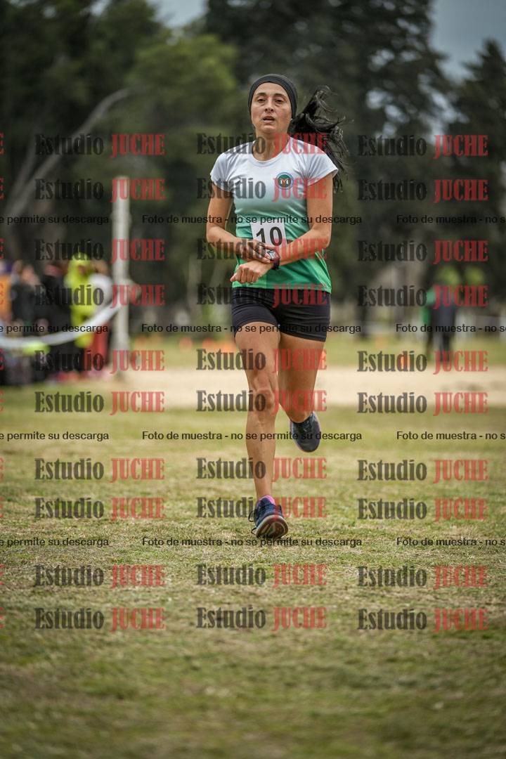 Fotos de la llegada