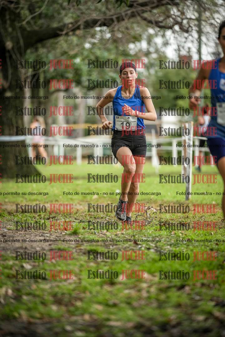 Fotos en el circuito