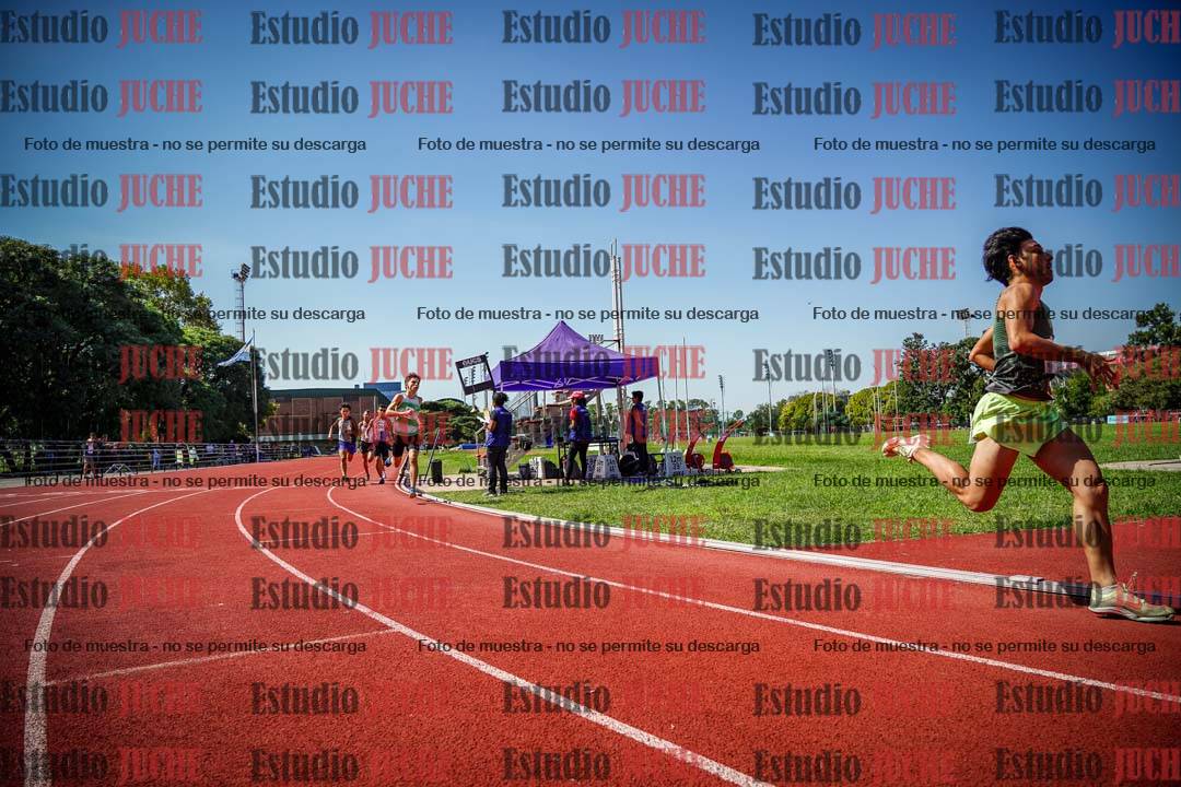 Fotos de los 800 m llanos de varones