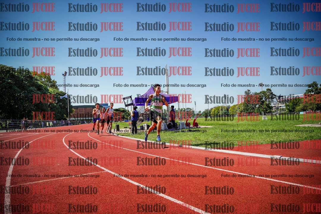 Fotos de los 800 m llanos de varones