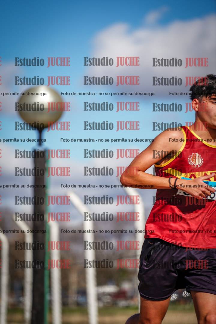 Fotos en el circuito