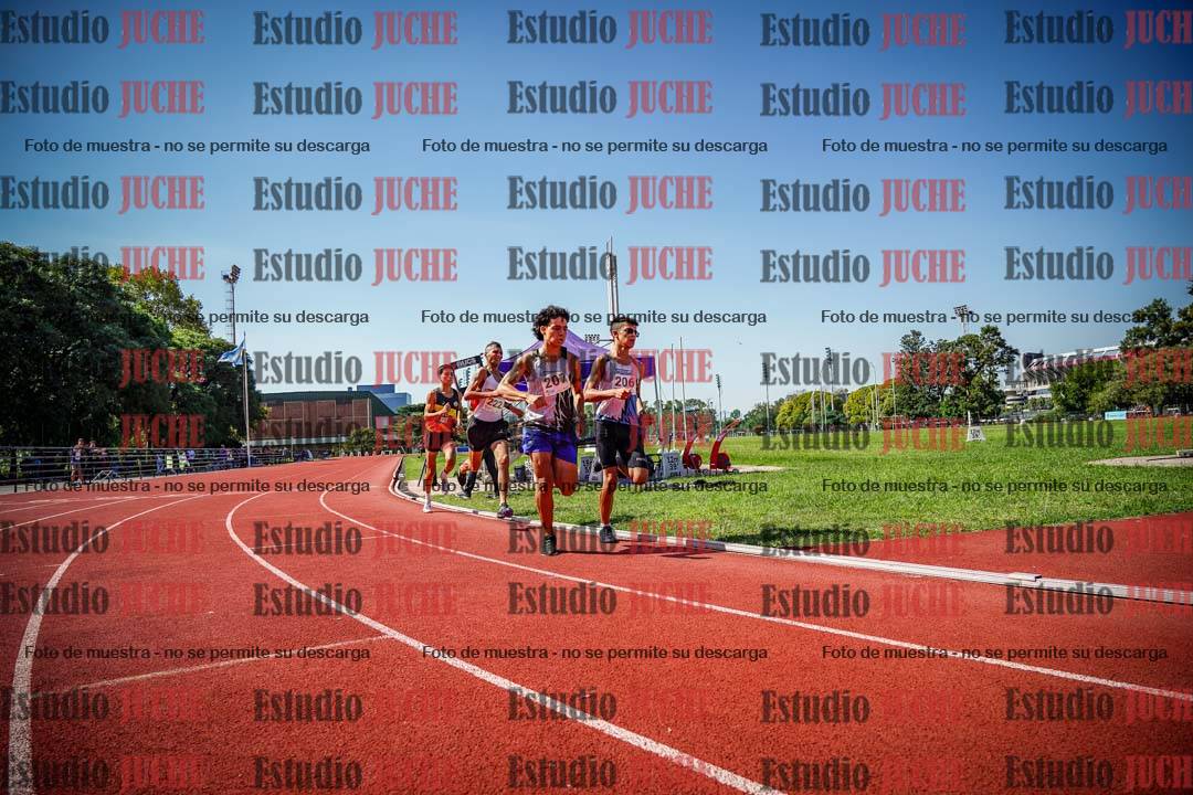 Fotos de los 800 m llanos de varones