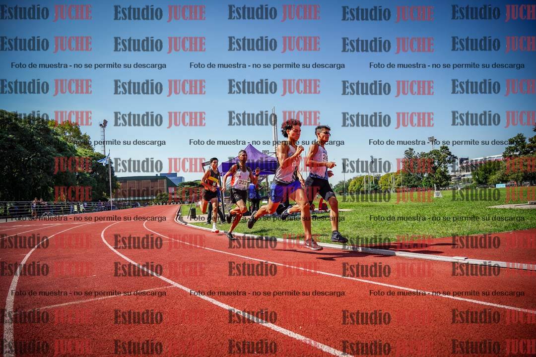 Fotos de los 800 m llanos de varones