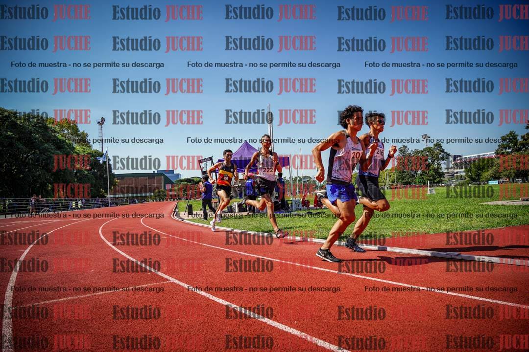 Fotos de los 800 m llanos de varones
